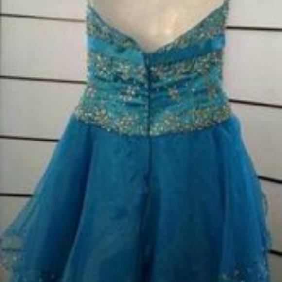 Tiffany Design Gown - Picture 4 of 8